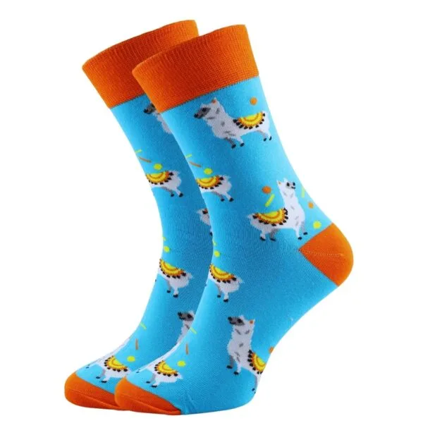 Zestaw Kolorowych Skarpet 10 PAR MIX | (35-46)