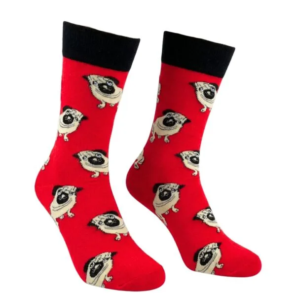 Zestaw Kolorowych Skarpet 10 PAR MIX | (35-46)