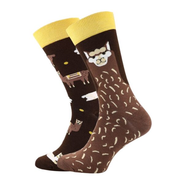 Zestaw Egzotycznych Nie do Pary – 6 Par (40–46)